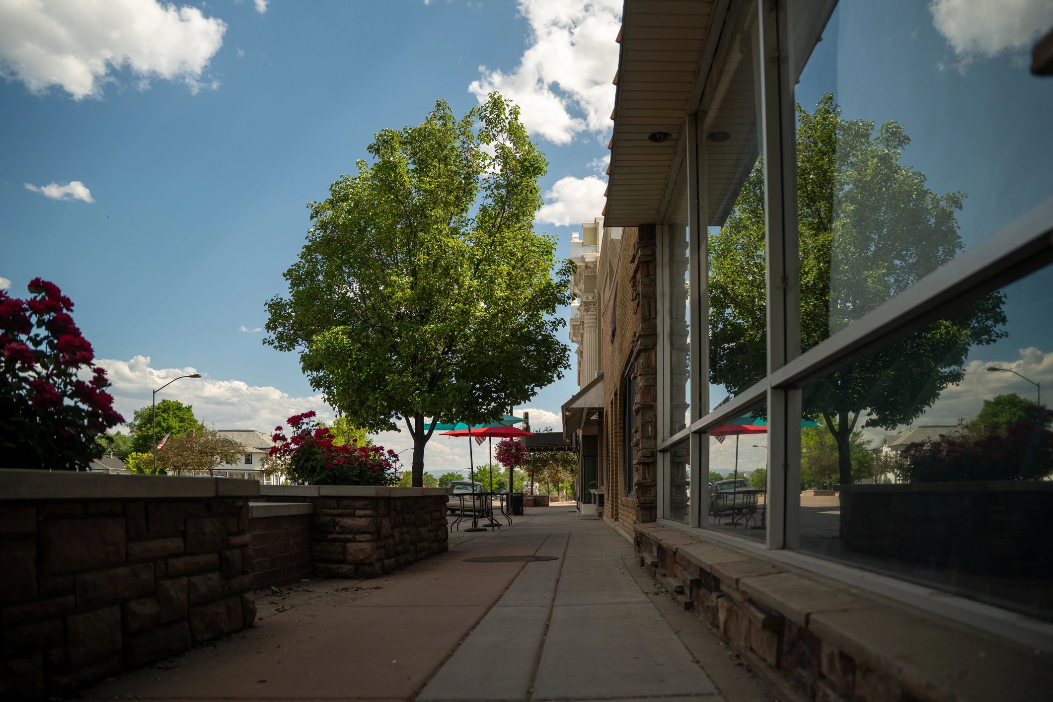 Quiet small-town main street with trees and storefronts